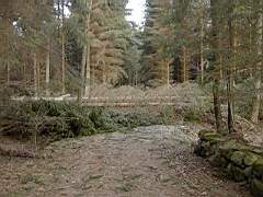 050129-Kvarnfallet 012.jpg